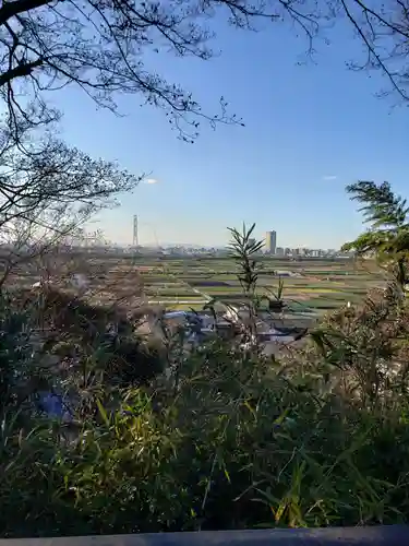 矢切神社の景色