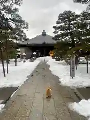 智恩寺(京都府)