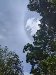 山梨縣護國神社の自然