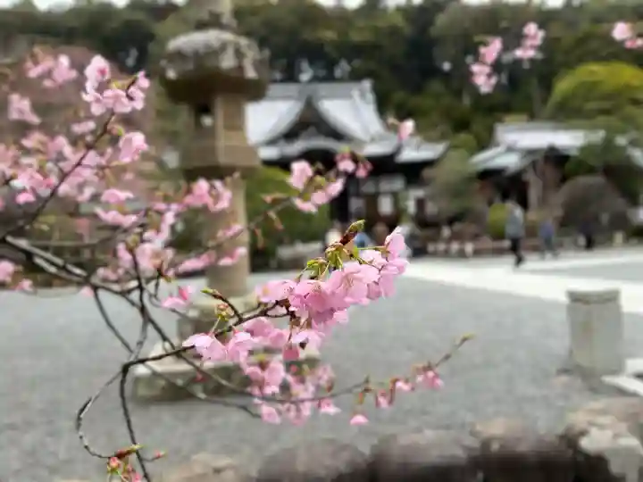 修禅寺(静岡県)