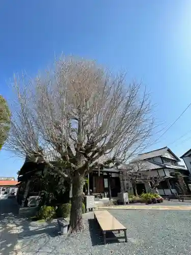 林入寺(静岡県)