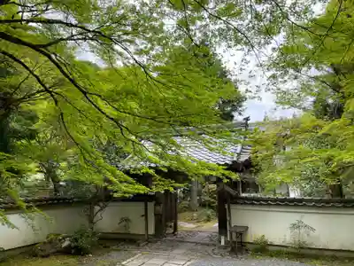 吟松寺(京都府)