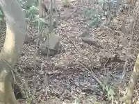 お姫様神社(栃木県)