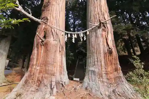 夏井諏訪神社の自然