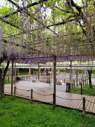 曼陀羅寺の庭園