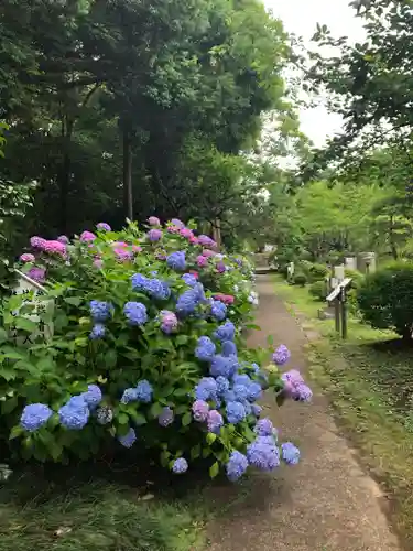 大聖寺（土浦大師不動尊）の自然