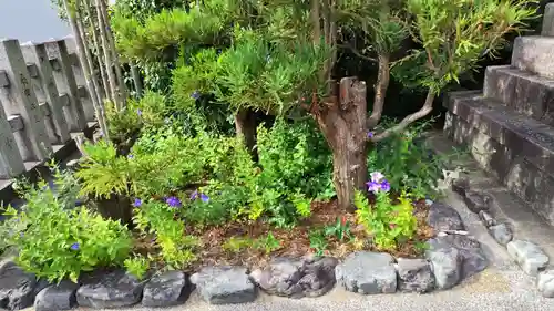 晴明神社(京都府)