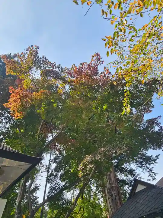 恵隆寺(立木千手観音)(福島県)