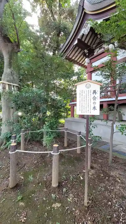 川越八幡宮のその他建物