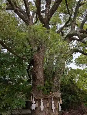 丸亀春日神社(香川県)