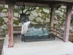 吉田神社の狛犬