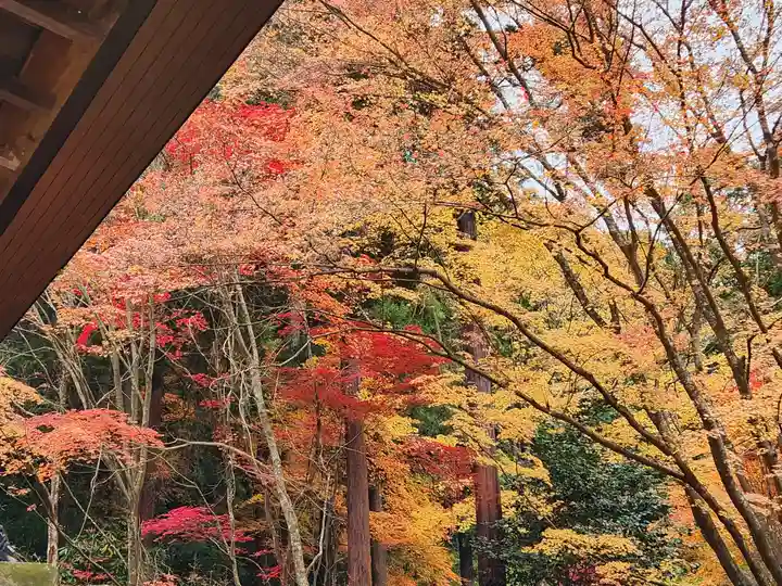 大国寺(兵庫県)