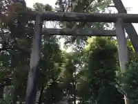 忍 諏訪神社・東照宮 の鳥居