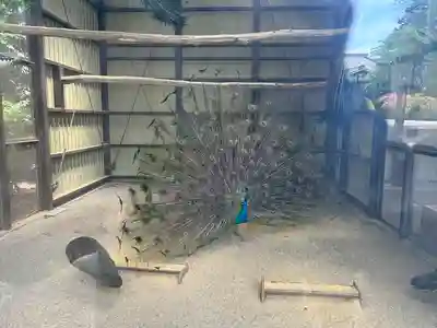 岩槻久伊豆神社(埼玉県)