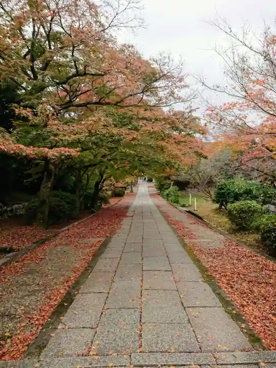 養源院のその他建物
