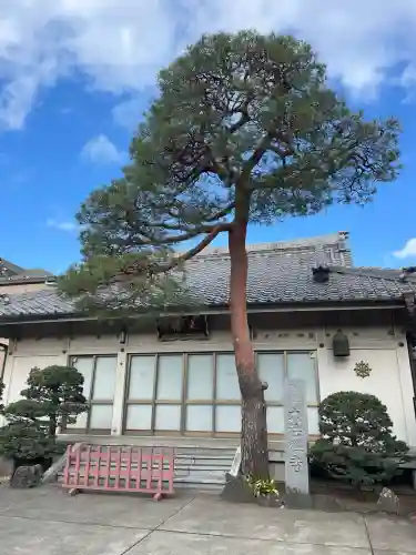 大法寺(東京都)