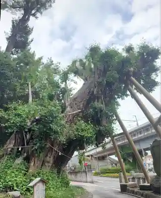 五所神社(神奈川県)