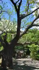 相馬神社の建物その他