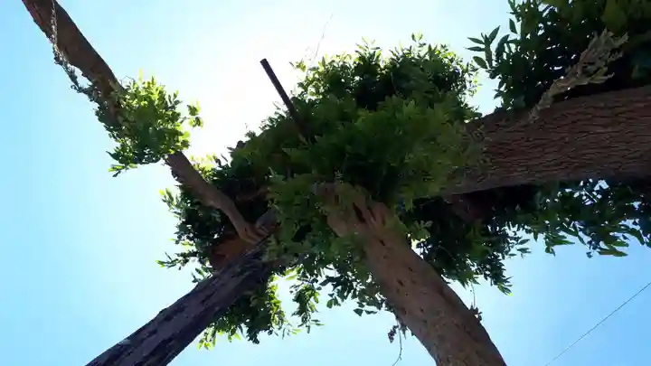 鳥海神社の自然