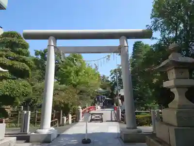 松戸神社の鳥居