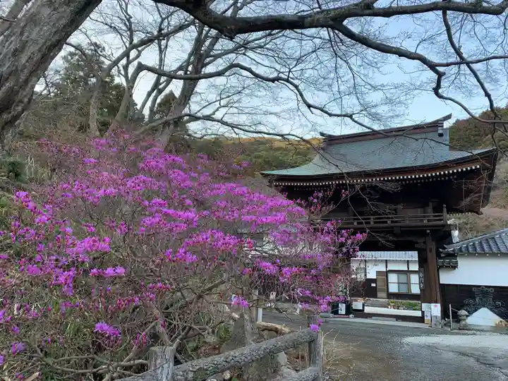 普門寺(切り絵御朱印発祥の寺)のその他建物