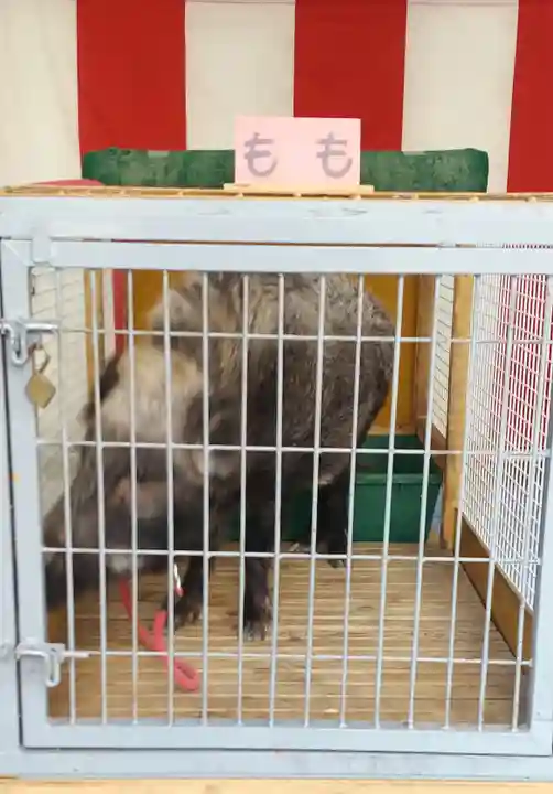 護王神社の動物