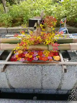 白山神社(新潟県)