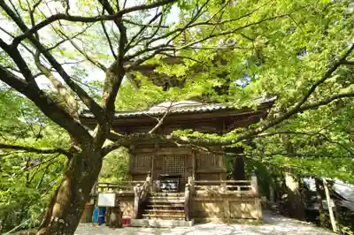 太龍寺(徳島県)