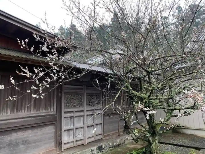 成願寺のその他建物