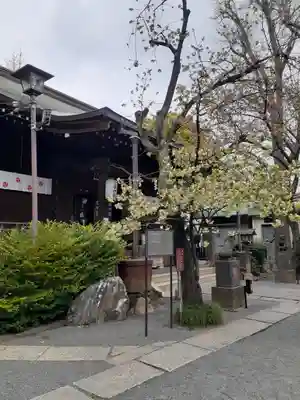七社神社の本殿・本堂