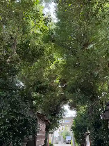 戸越八幡神社(東京都)