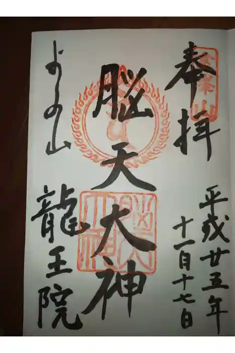 脳天大神龍王院の御朱印