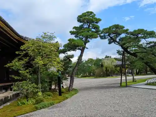 蓮華王院（三十三間堂）(京都府)