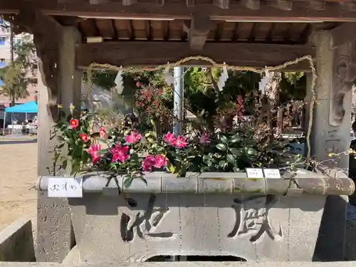 三津厳島神社の手水舎