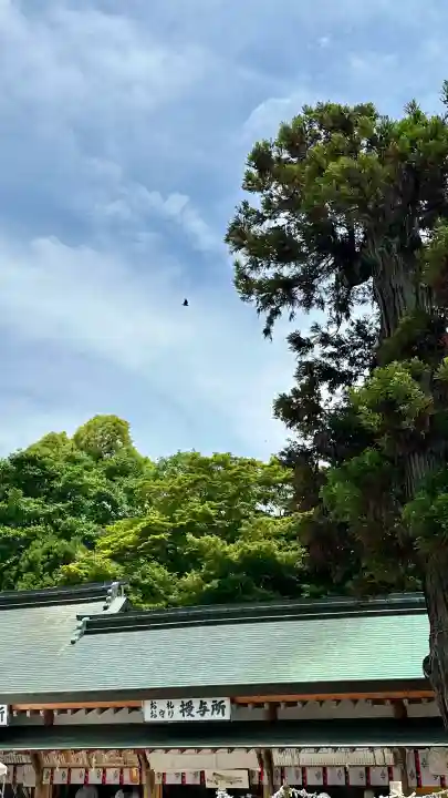 石清水八幡宮(京都府)