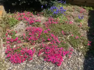 土橋観音堂の{uncategorized: "未分類", other: "その他", undefined: "問題あり", building: "その他建物", grave: "お墓", sacred_gate: "鳥居", guardian: "狛犬", statue: "像", buddha: "仏像", history: "歴史", nature: "自然", garden: "庭園", animal: "動物", pagoda: "塔", temizu: "手水舎", mountain_gate: "山門・神門", sanctuary: "本殿・本堂", subordinate: "末社・摂社", art: "芸術", scenery: "景色", jizo: "地蔵", ema: "絵馬", goshuin: "御朱印", omikuji: "おみくじ", items: "授与品その他", amulet: "お守り", goshuincho: "御朱印帳", eats: "食事", festival: "お祭り", votive_dance: "神楽", shichigosan: "七五三参", wedding: "結婚式", experience: "体験その他", initially: "初詣", around: "周辺", anti_infection: "感染症対策"}