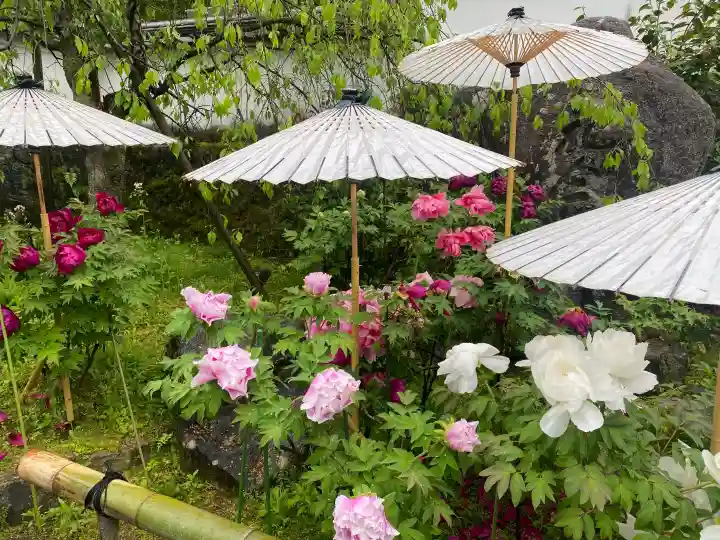 岡寺(龍蓋寺)の{uncategorized: "未分類", other: "その他", undefined: "問題あり", building: "その他建物", grave: "お墓", sacred_gate: "鳥居", guardian: "狛犬", statue: "像", buddha: "仏像", history: "歴史", nature: "自然", garden: "庭園", animal: "動物", pagoda: "塔", temizu: "手水舎", mountain_gate: "山門・神門", sanctuary: "本殿・本堂", subordinate: "末社・摂社", art: "芸術", scenery: "景色", jizo: "地蔵", ema: "絵馬", goshuin: "御朱印", omikuji: "おみくじ", items: "授与品その他", amulet: "お守り", goshuincho: "御朱印帳", eats: "食事", festival: "お祭り", votive_dance: "神楽", shichigosan: "七五三参", wedding: "結婚式", experience: "体験その他", initially: "初詣", around: "周辺", anti_infection: "感染症対策"}