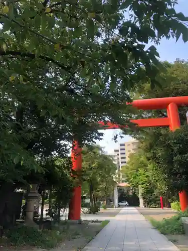 稲毛神社の鳥居