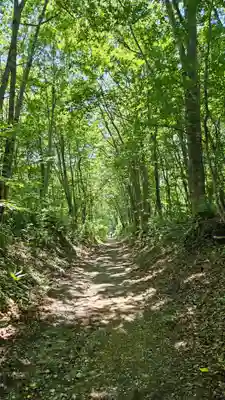 戸隠神社火之御子社(長野県)