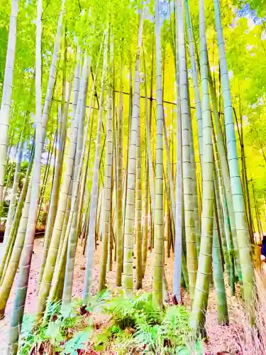 報国寺(神奈川県)