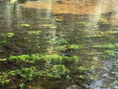 富士山本宮浅間大社(静岡県)