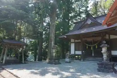 奥泉大井神社の本殿・本堂