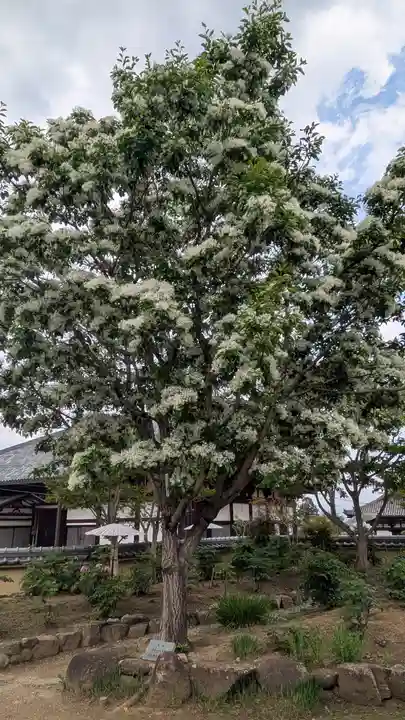 當麻寺西南院(奈良県)