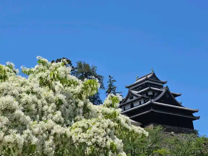 松江神社(島根県)