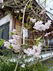 成子天神社の自然