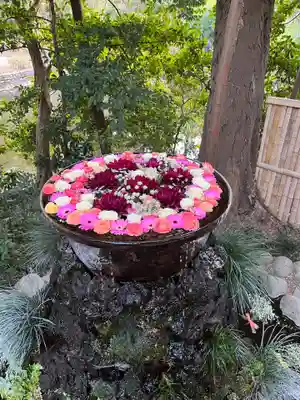武蔵一宮氷川神社(埼玉県)