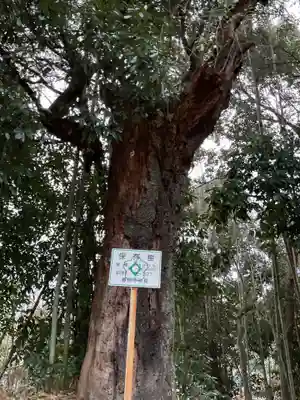 安祥寺(愛知県)