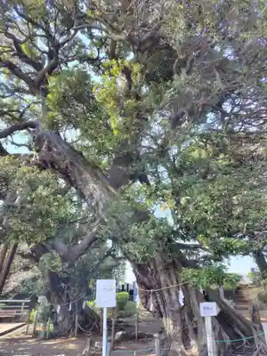 九重神社(埼玉県)