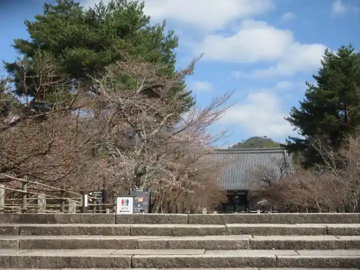 仁和寺(京都府)