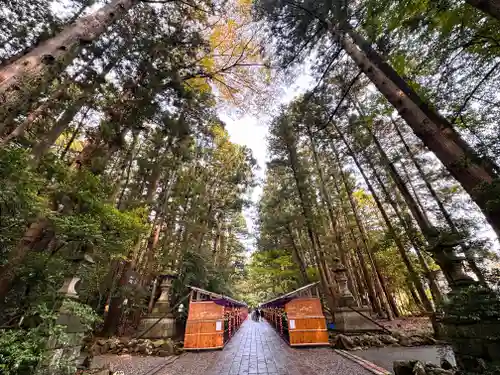 彌彦神社(新潟県)